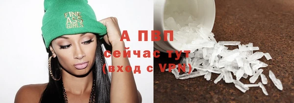 гашик Арсеньев
